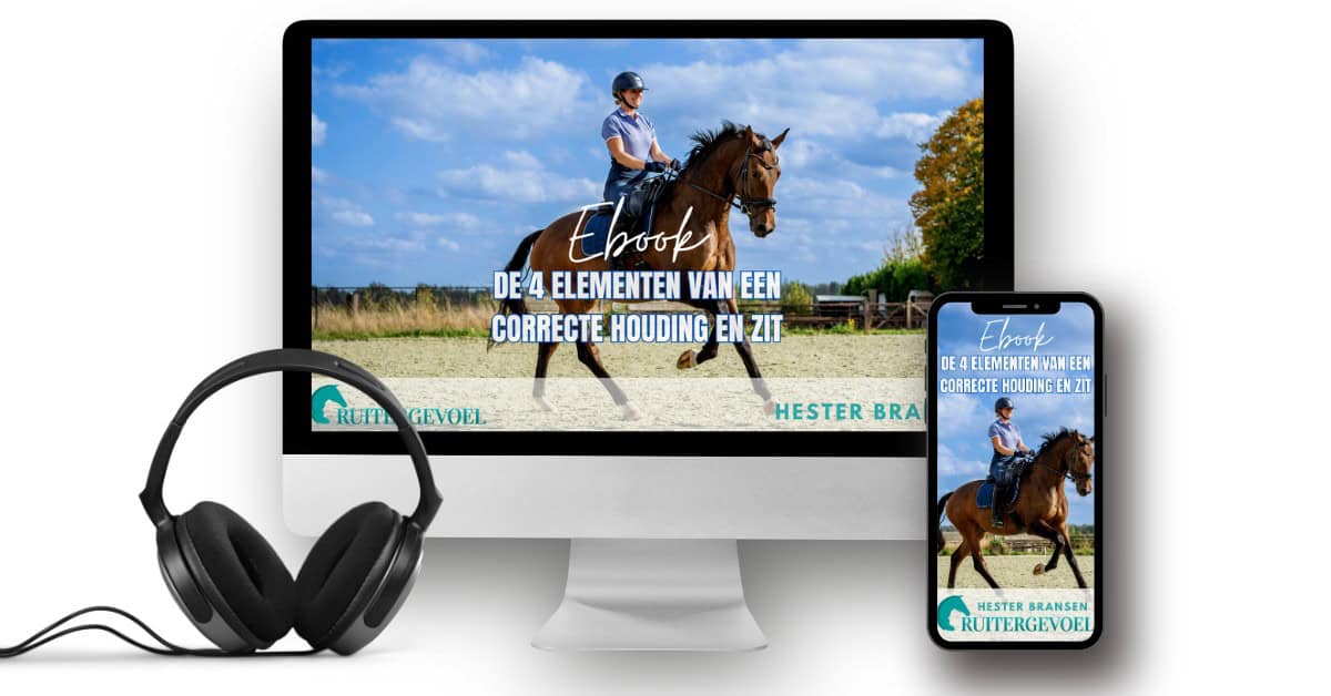 ebook Houding en zit