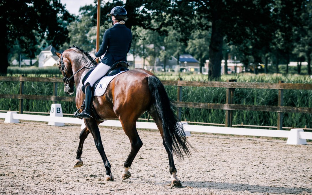 Hoe ga je om met een paard dat aanspringt in galop bij een verruiming in draf?