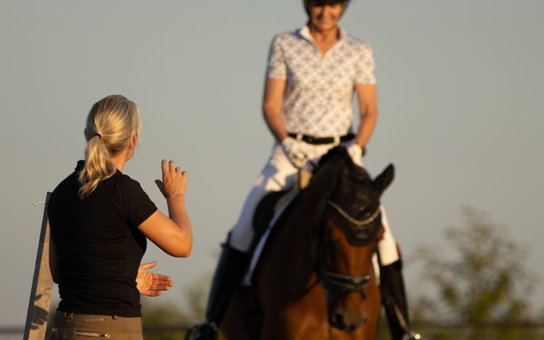 Nageeflijkheid en aanleuning, zo rijd je je paard in verbinding