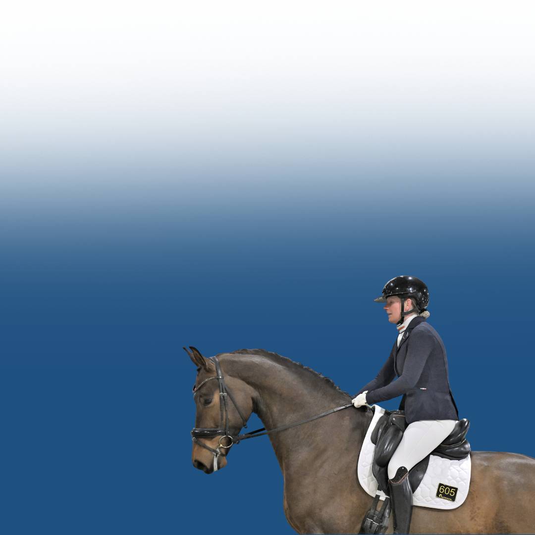 webinar banner (2)